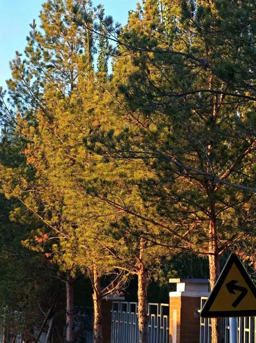 659E5